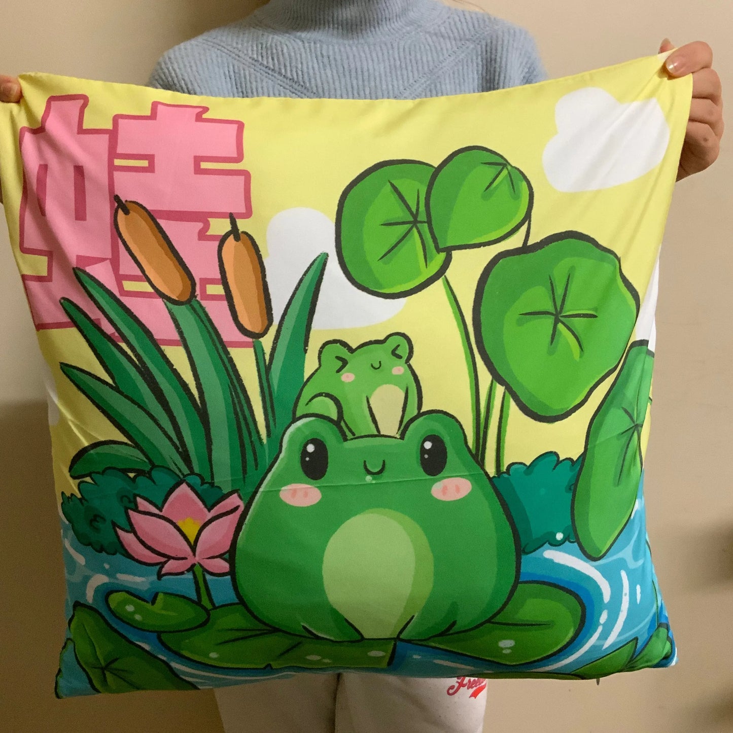 Housse coussin grenouille Tinyneko.fr